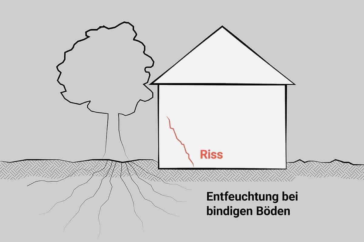 Skizze: Ein Baum direkt neben dem Gebäude lässt den bindigen Boden austrocknen. Ein Riss in der Wand ist die Folge.
