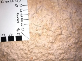 Ein 0,2mm starker Riss im Außenputz mit einer Risskarte als Vergleichsmaßstab gemessen.